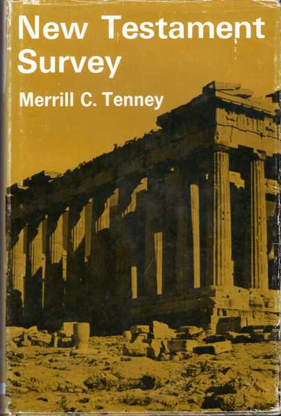 Cover of New Testament Survey (Tenney) BR